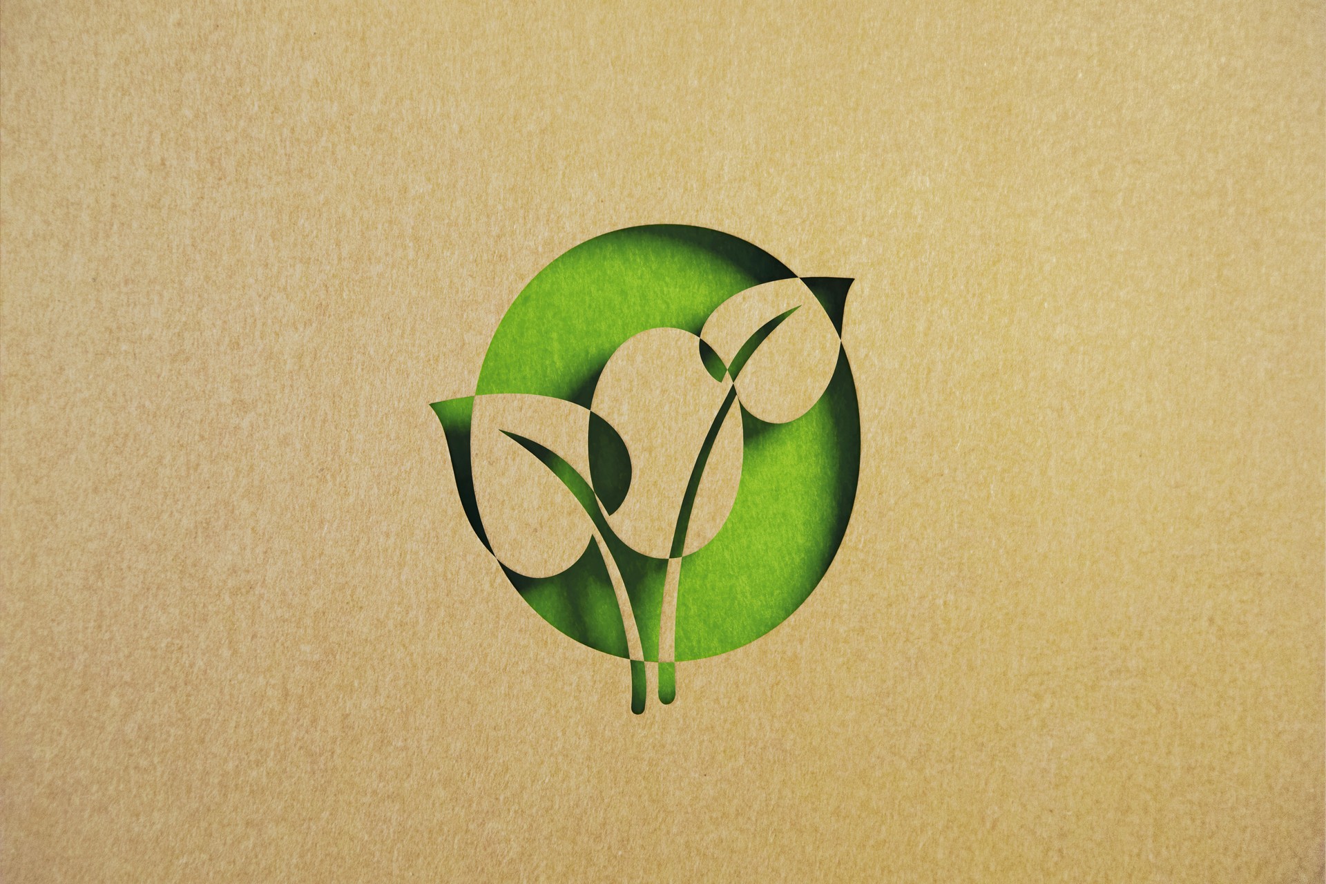 Zero Waste Concept - Cut Out Leaf Shapes Made of Recycled Paper Intersect With Number Zero On Green Background